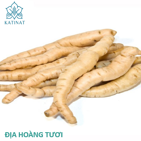 ĐỊA HOÀNG TƯƠI