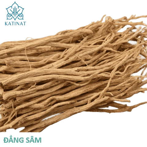 ĐẲNG SÂM