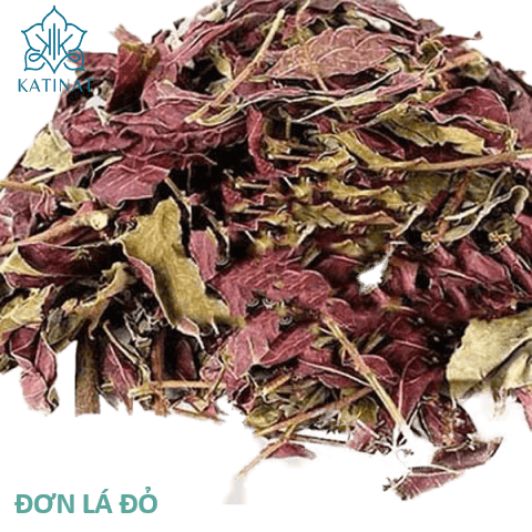 Đơn lá đỏ