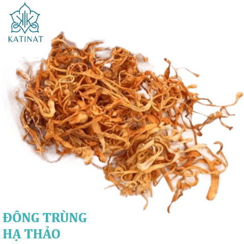 Đông trùng hạ thảo
