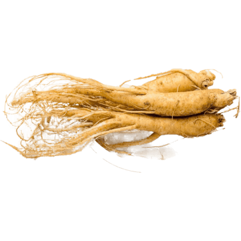 Đinh lăng