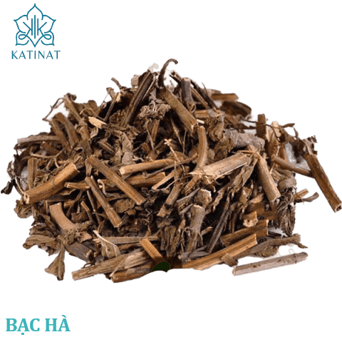  Bạc hà (Mentha)