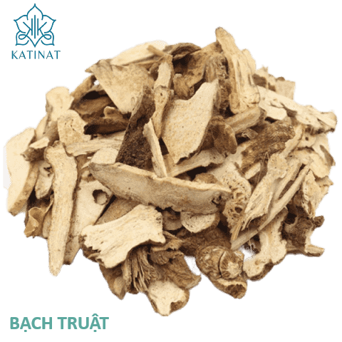 Bạch truật