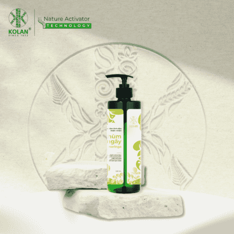BODY SHOWER GEL CHÙM NGÂY MORINGA – 500 ml KOLAN