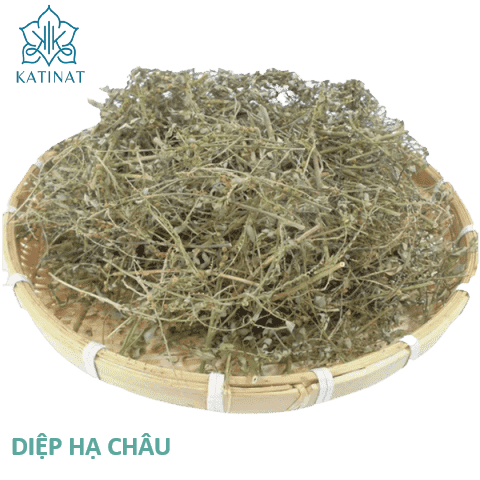 DIỆP HẠ CHÂU