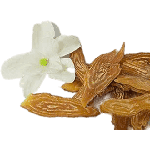 Sâm bố chính