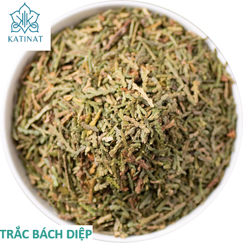 TRẮC BÁCH DIỆP