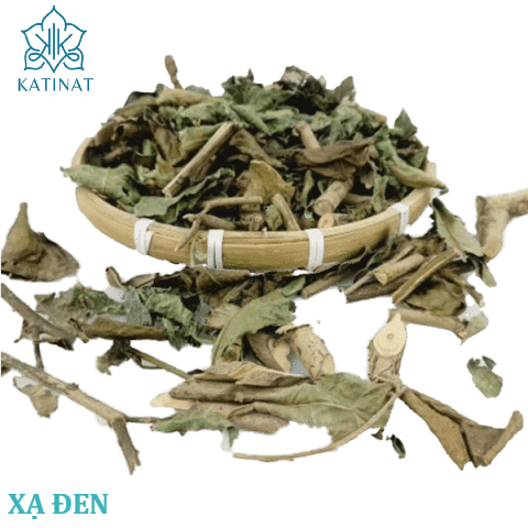 Xạ đen