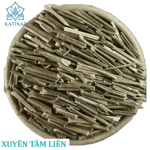Xuyên tâm liên